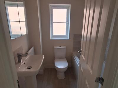 Picture 13
